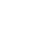 Flip