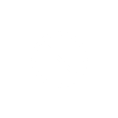 Lens